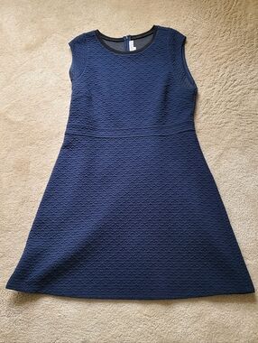 LOFT Navy Textured Sleeveless Fit-and-Flare Mini Dress